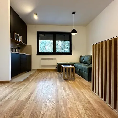 Sofija Apartman Zlatibor Exterior foto